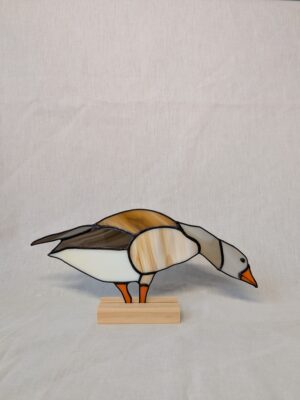 Greylag goose