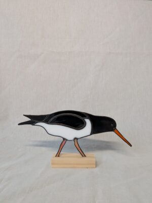 Eurasian oystercatcher
