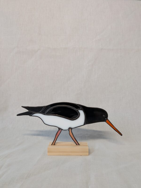 Eurasian oystercatcher