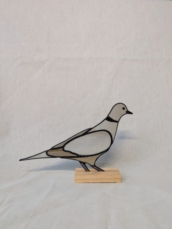 Pigeon