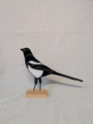 Eurasian magpie