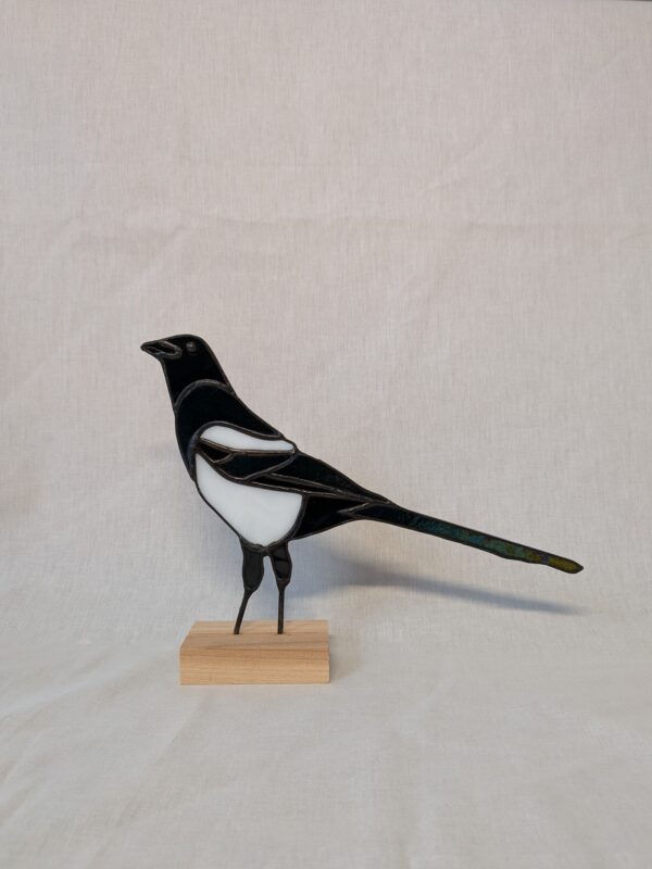 PXL_20260606_160408071 Eurasian magpie