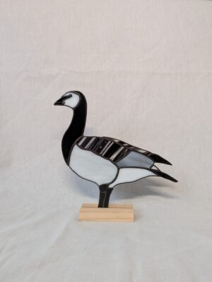 Barnacle goose