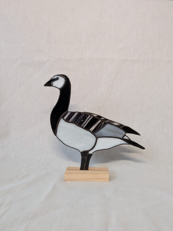 Barnacle goose