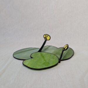 Yellow water-lily #2