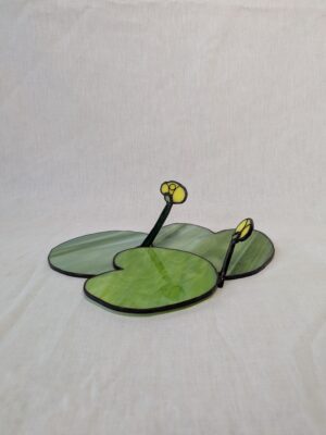 Yellow water-lily #2