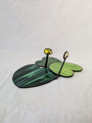 Yellow water-lily #1