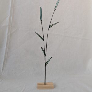 Reed