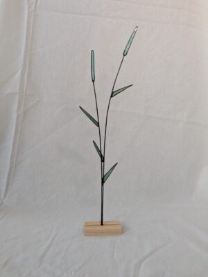 Reed
