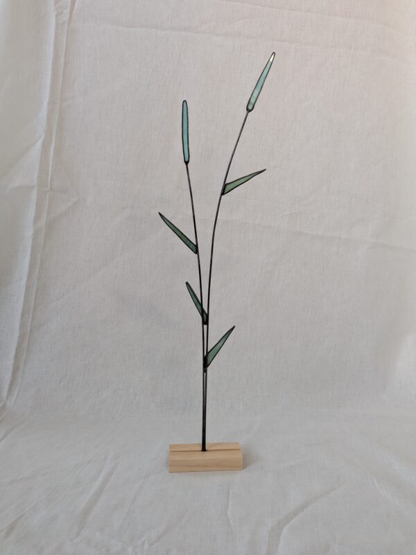 Reed